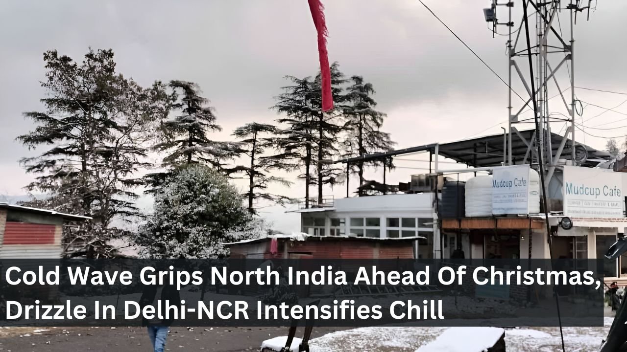 Cold Wave Grips North India Ahead Of Christmas, Drizzle In Delhi-NCR Intensifies Chill
