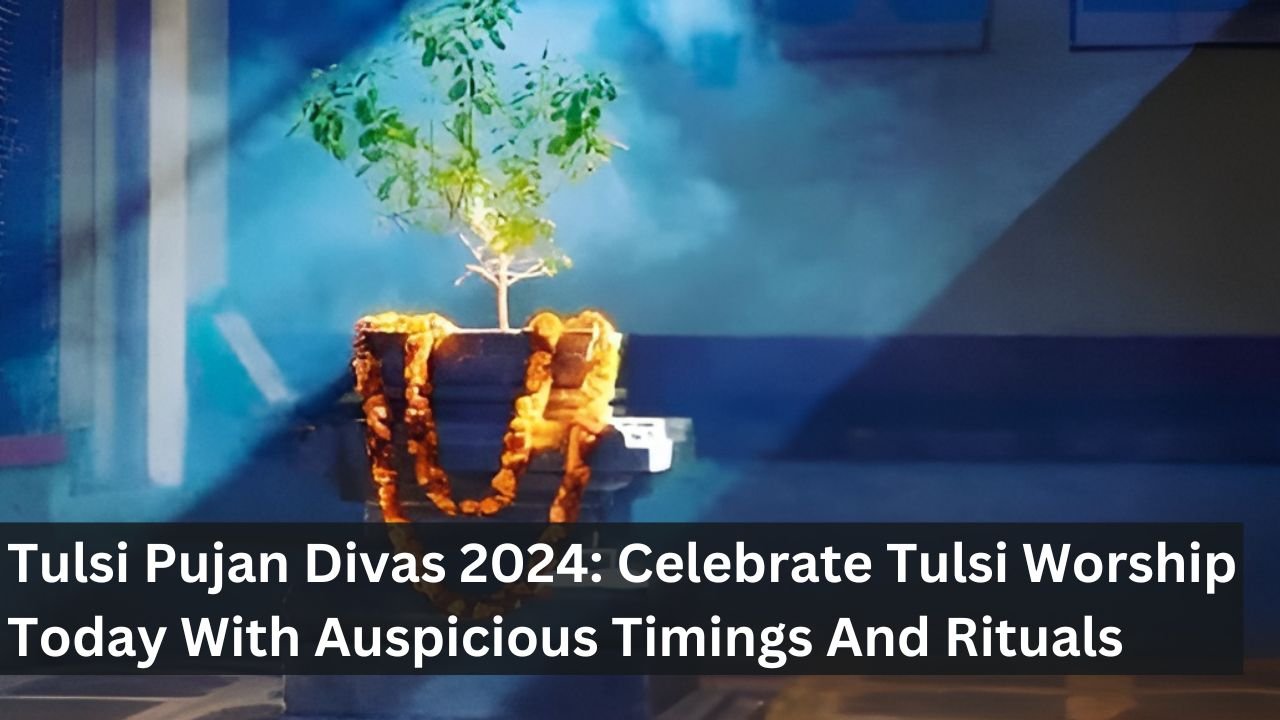 Tulsi Pujan Divas 2024: Celebrate Tulsi Worship Today With Auspicious Timings And Rituals